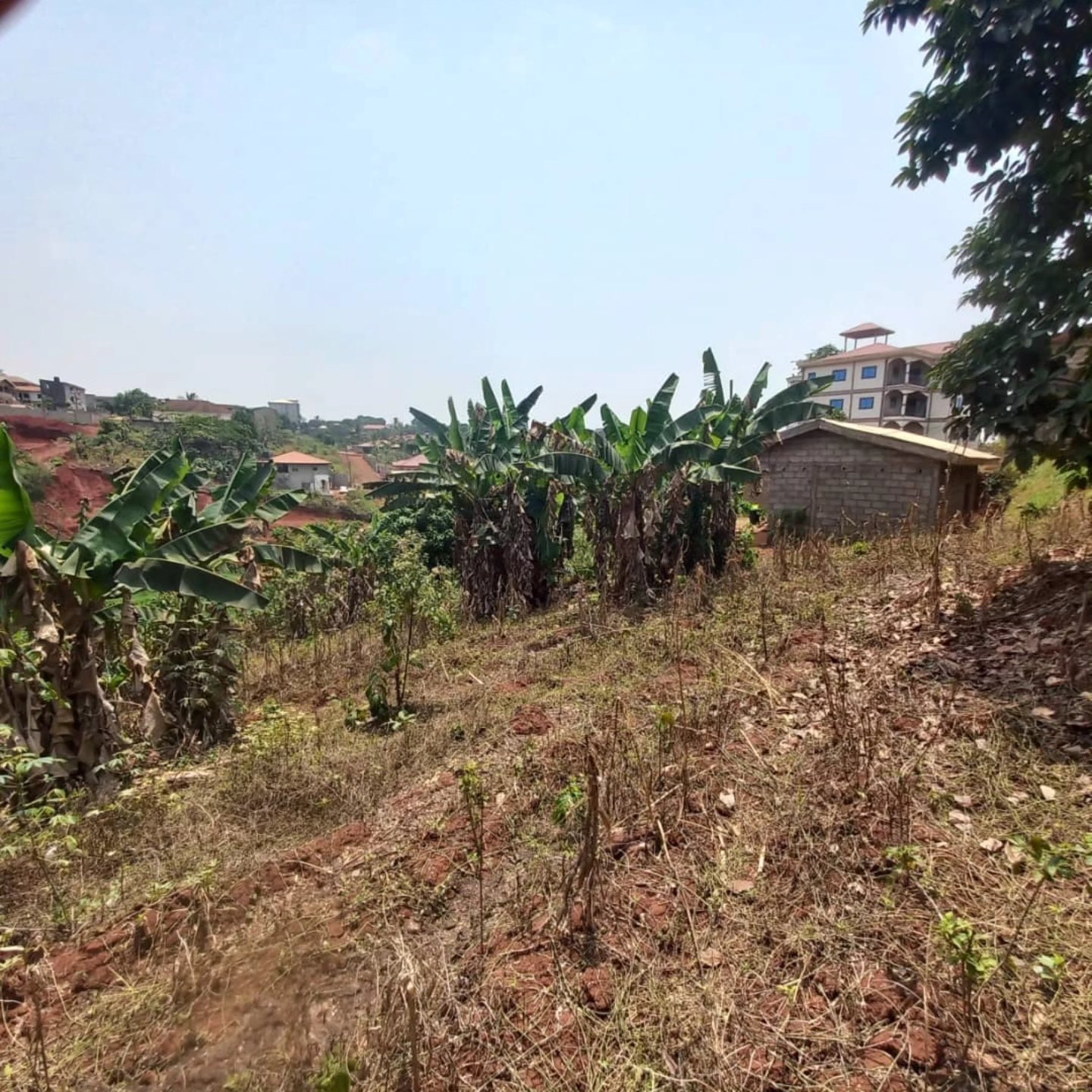 Land Sale