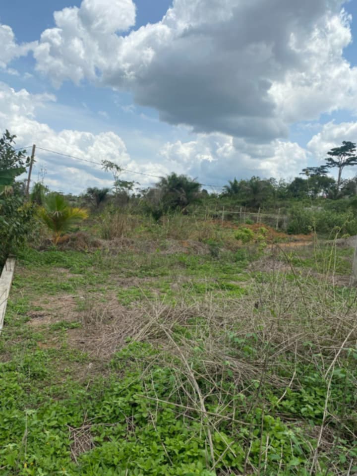Land Sale